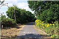 The Centurion Way cycle path near Fishbourne