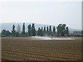 Irrigation near Cropthorne