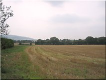 SO9443 : Fields south of Pensham by Dave Bushell