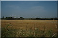 Farm Field near Moore, Warrington