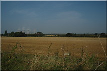SJ5685 : Farm Field near Moore, Warrington by andy