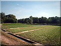 Watercress beds, Headbourne Worthy