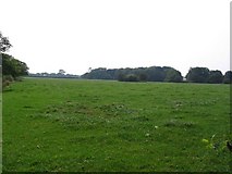 SJ6785 : Pasture land by Dave Smethurst