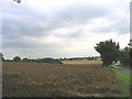 Freshly ploughed field, Dunton, Essex