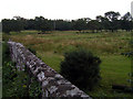 Bleng Bridge, Gosforth