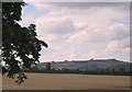 Fields near Dumbleton