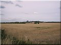 SP0237 : Fields near Sedgeberrow by Dave Bushell
