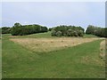 Gloucester Park Basildon - A quiet corner