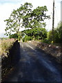 Bridge and road to Keirallan