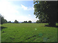 Cricket Pitch, Great Warley, Essex