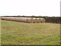 Straw and stubble, field near Trevone