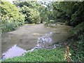 A Pond near Pendell Court