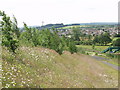 Johnstown from the Hafod colliery bing