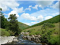 Ettrick Water