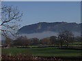 Breidden Hill surrounded in mist