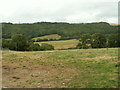 Farmland, Ystywth valley