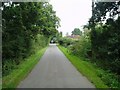 Picketts Lane towards the A22 at the far end