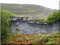 Frongoch Mine Power Station and mines in the background