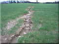 Soil erosion, Warmwell, Dorset