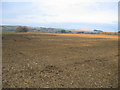 Farmland, Southover, Tolpuddle, Dorset