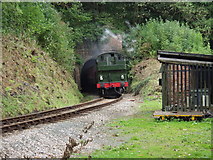 SJ1843 : Berwyn Tunnel by John Haynes