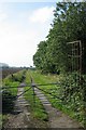 Farm Track, Cropthorne