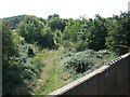 SP0939 : Disused Railway at Willersey by Dave Bushell