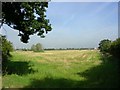 Fields on the Edge of Town