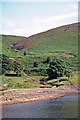 SD9954 : Embsay Reservoir and Moor Beck (or Crag Gill) by Christine Hasman