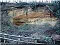 Old Quarry, Rogate, West Sussex