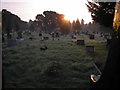 Cathays Cemetery