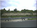 Reservoir on Banstead Downs