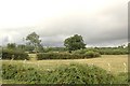 SO9251 : Fields near White Ladies Aston by Dave Bushell
