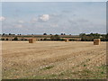 Fields near Kimble Wick