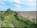 Bridleway between Cranborne and Pentridge