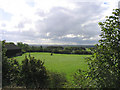 Great Warley Panorama