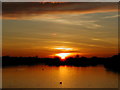 Sunset at Attenborough nature reserve