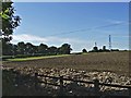 Farmland Chase Farm, Stagg Hill