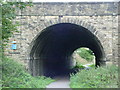 Old Railway Tunnel