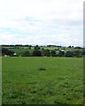 Farmland at Clwt