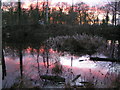 Sunset - Hem Heath Nature Reserve