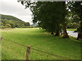 Afon Dyfrdwy just east of Carrog