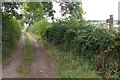 SO6430 : Country Lane and Footpath by Philip Halling