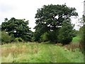 Gritstone Trail