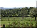 Mountainside garden with excellent view