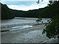 Mud Flats, Cofflete Creek