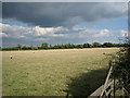 Pebworth Pasture