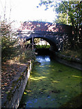 SJ6315 : Disused Shropshire Union Canal - Shrewsbury Branch by Bob Bowyer