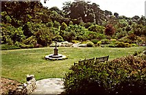 SZ5476 : Botanic Garden, Ventnor, Isle of Wight by Christine Matthews