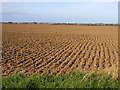 Looking towards Withernsea